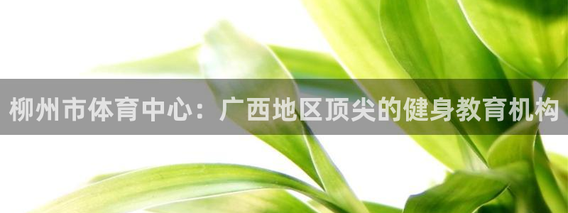 熊猫体育网站：柳州市体育中心：广西地区顶尖的健身教育机构