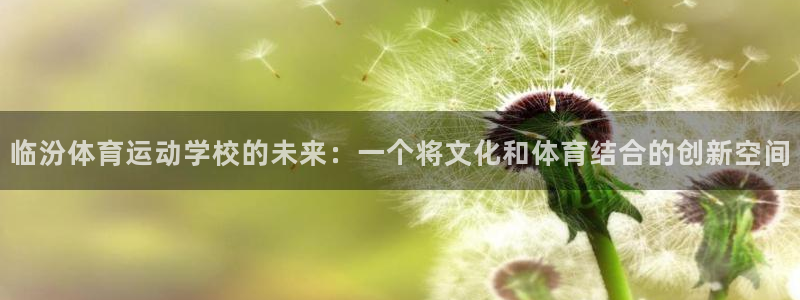 熊猫体育公园：临汾体育运动学校的未来：一个将文化和体育结合的创新空间