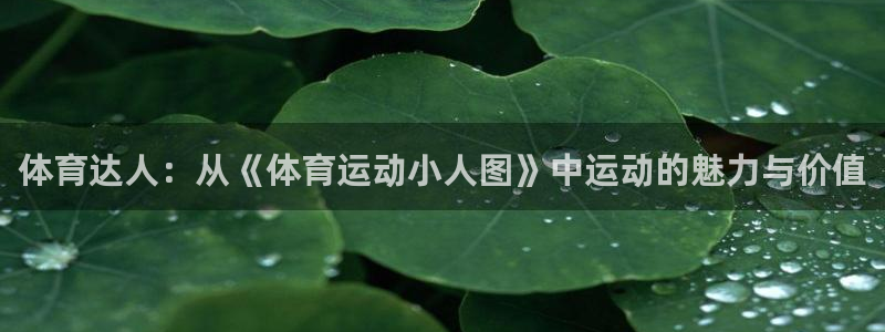 下载熊猫体育
