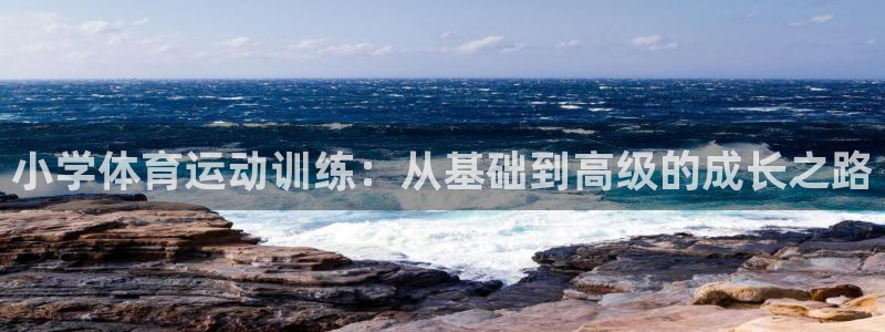 熊猫体育平台：小学体育运动训练：从基础到高级的成长之路