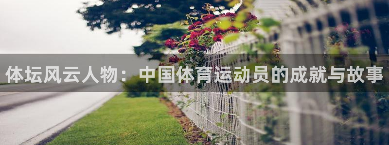 熊猫体育平台：体坛风云人物：中国体育运动员的成就与故事