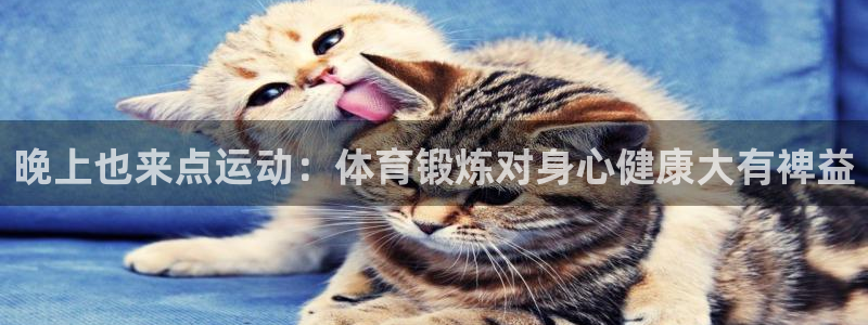 熊猫体育文化有限公司：晚上也来点运动：体育锻炼对身心健康大有裨益