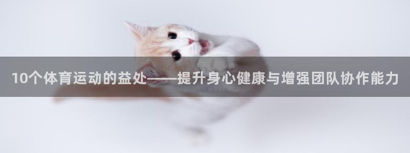 熊猫体育app官网入口：10个体育运动的益处——提升身心健康与增强团队协作能力