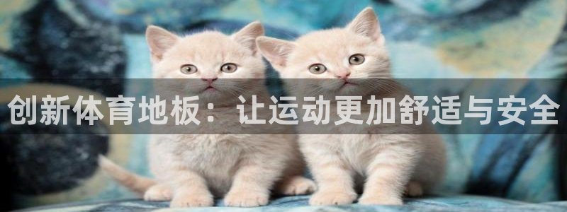 动感熊猫体育公园：创新体育地板：让运动更加舒适与安全