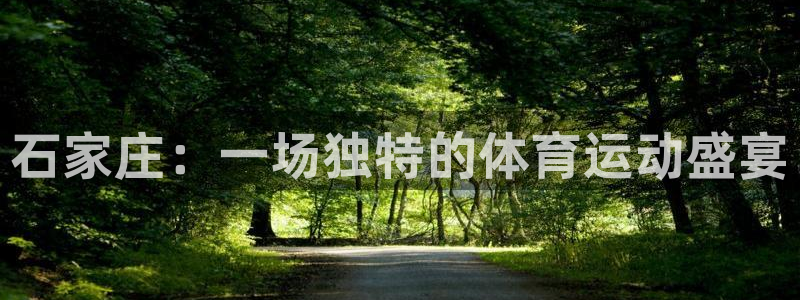 动感熊猫体育公园：石家庄：一场独特的体育运动盛宴