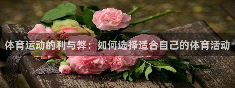 熊猫体育公园价格：体育运动的利与弊：如何选择适合自己的体育活动