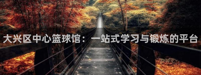 熊猫体育直播nba：大兴区中心篮球馆：一站式学习与锻炼的平台
