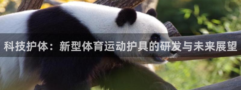 熊猫体育公园价格：科技护体：新型体育运动护具的研发与未来展望