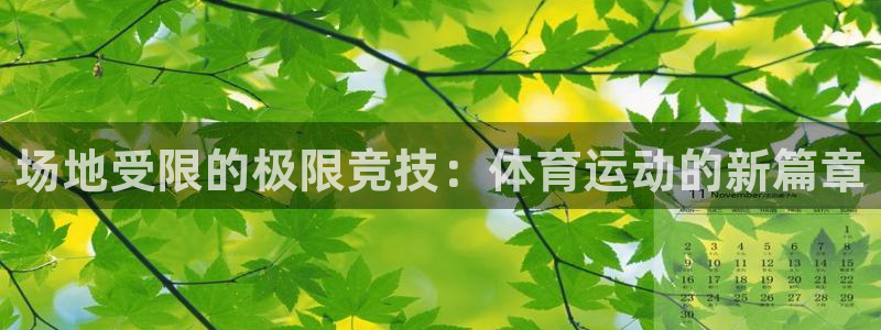 熊猫体育app官方入口：场地受限的极限竞技：体育运动的新篇章