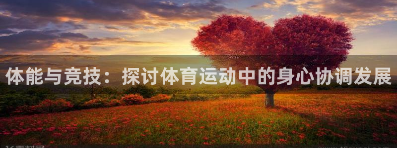 熊猫体育公园价格：体能与竞技：探讨体育运动中的身心协调发展
